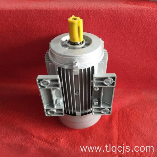 4445YH series three-phase asynchronous motor